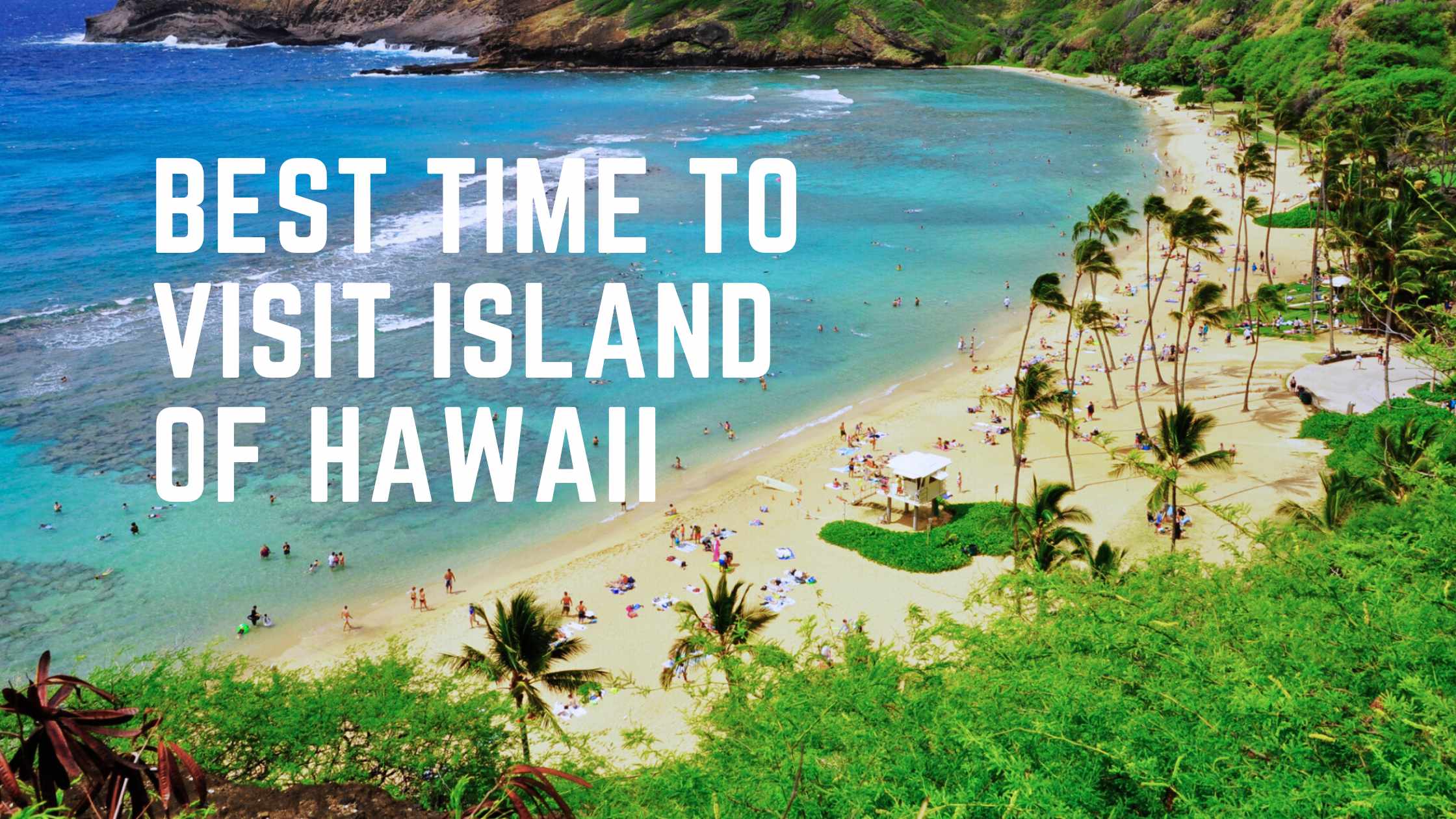 Best time to visit island of Hawaii