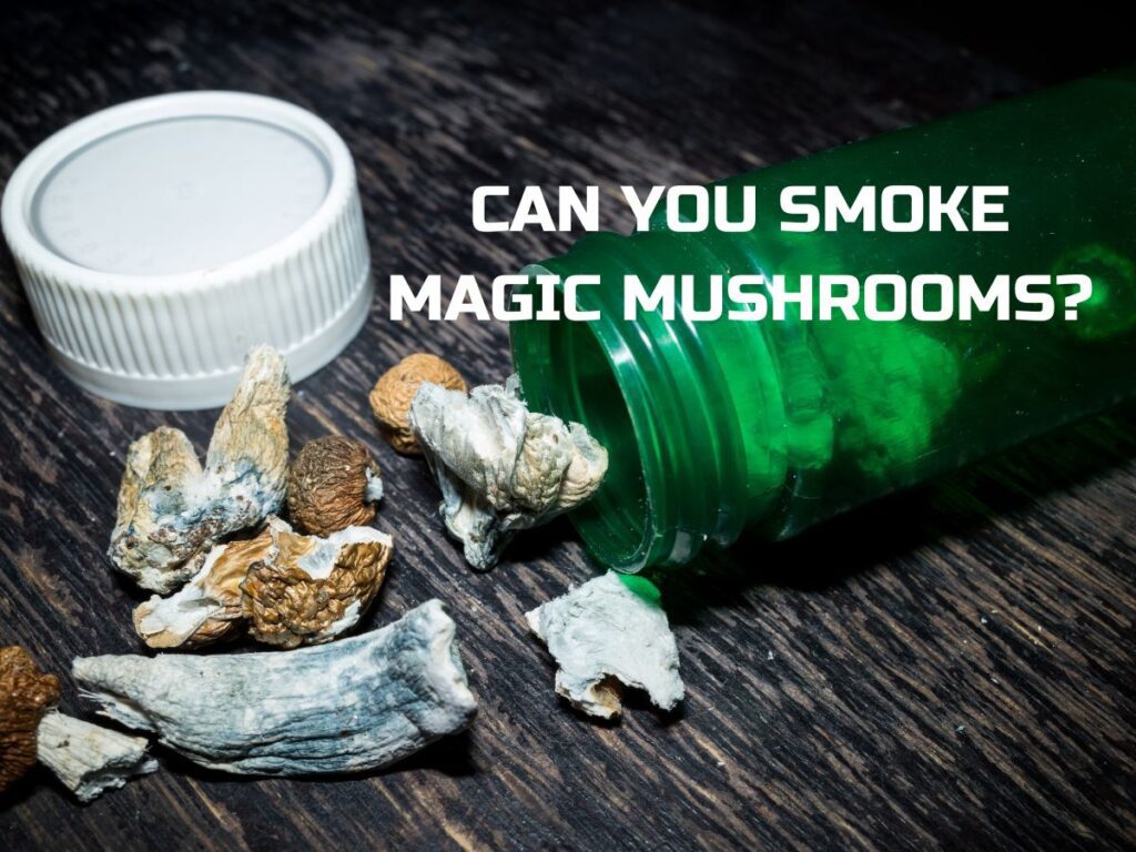 can you smoke magic mushrooms? usablogss.com